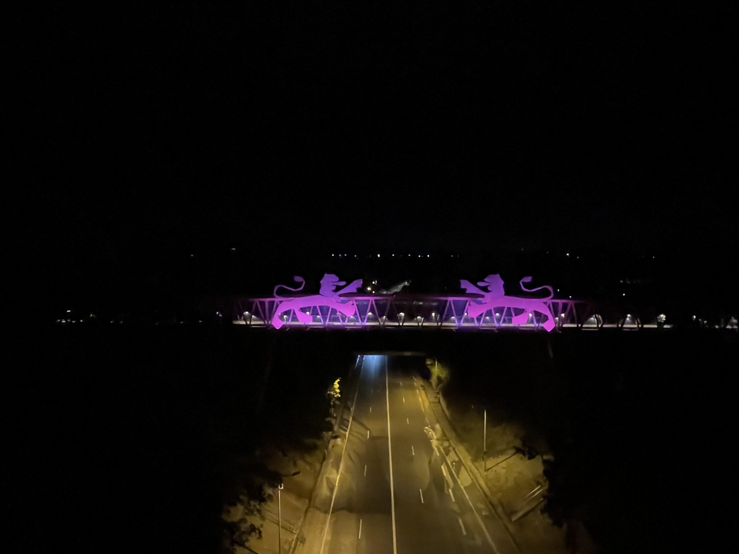 Passerelle illuminée de rose