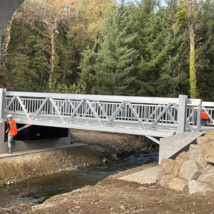 Garde-corps par barreaudage vertical